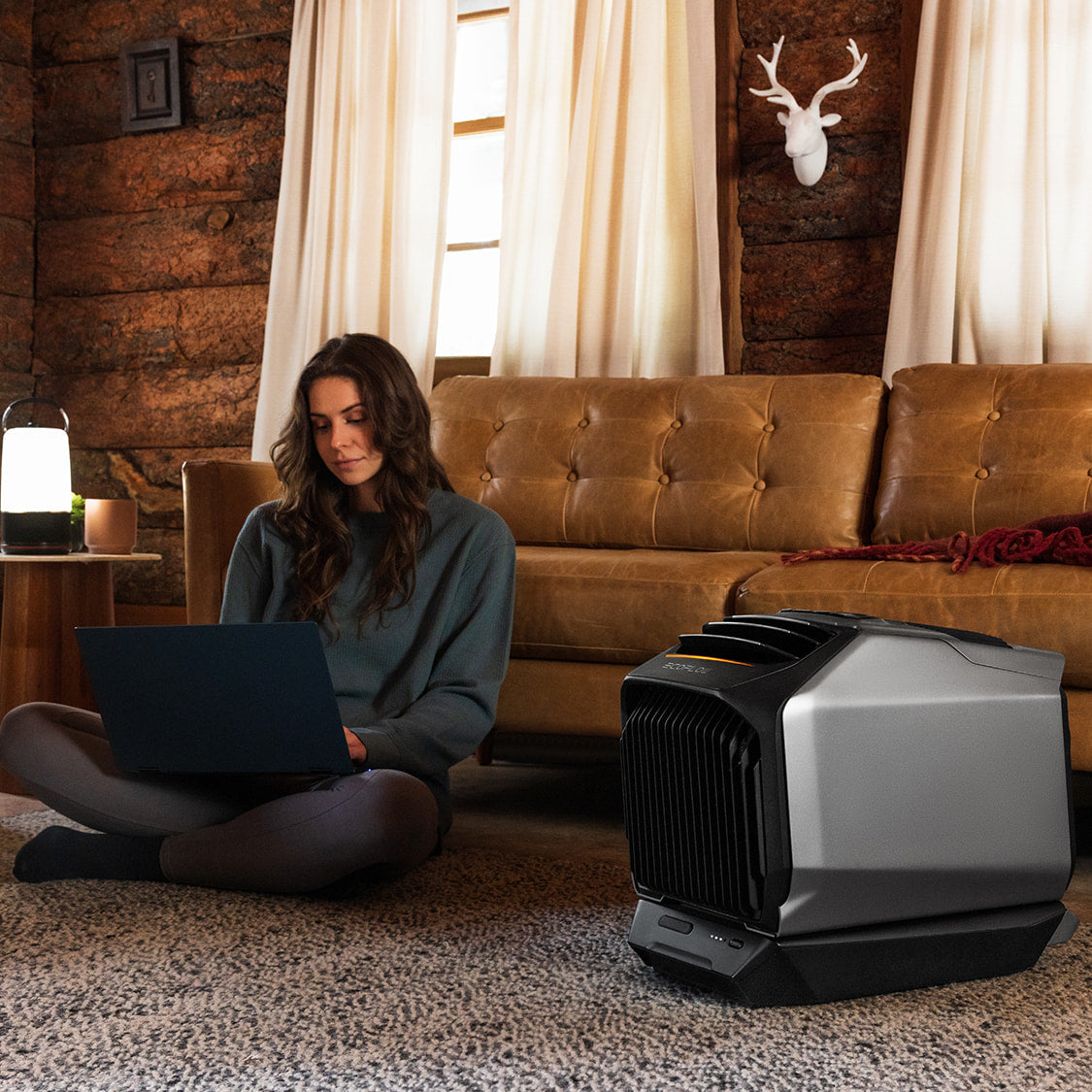 EcoFlow WAVE 2 Portable Air Conditioner With Heater