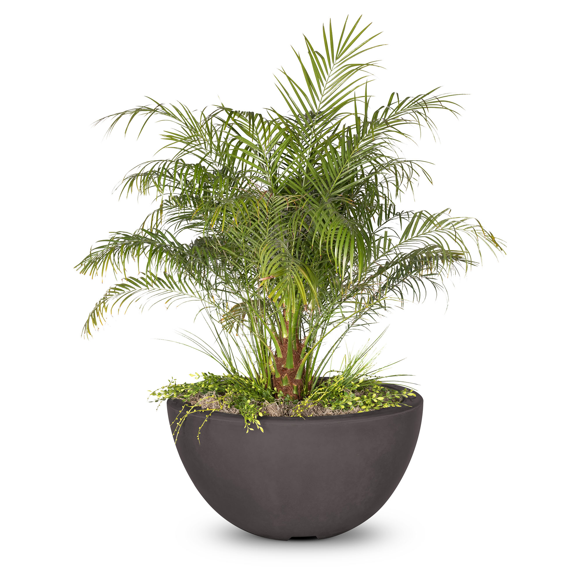 LUNA CFCR PLANTER BOWL