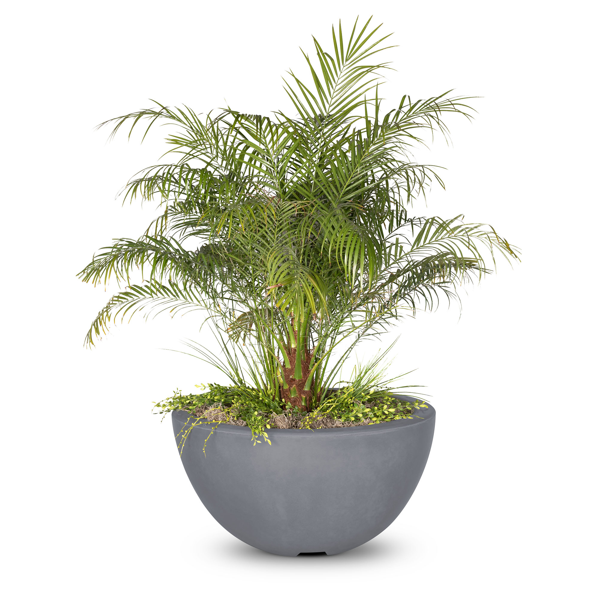 LUNA CFCR PLANTER BOWL