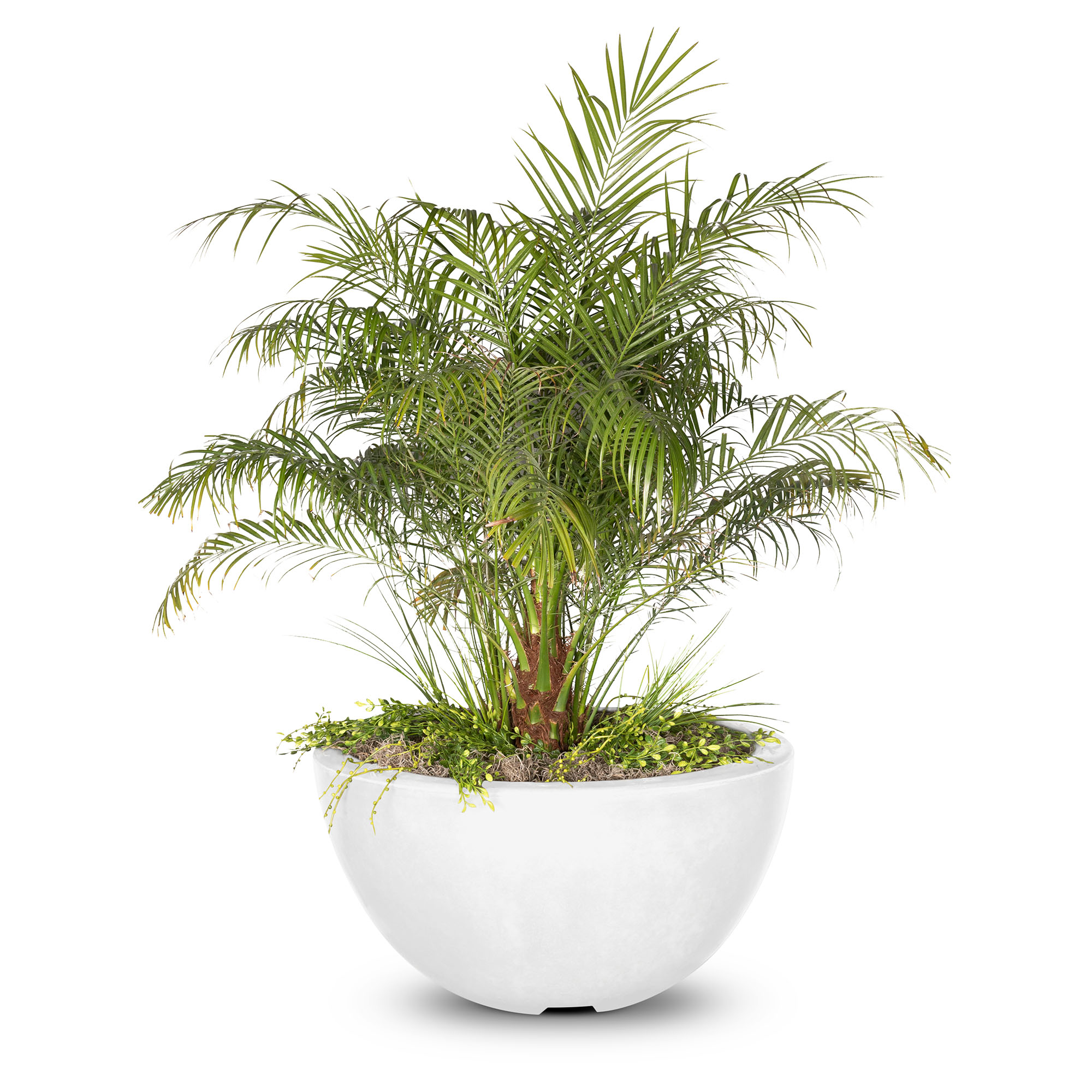 LUNA CFCR PLANTER BOWL