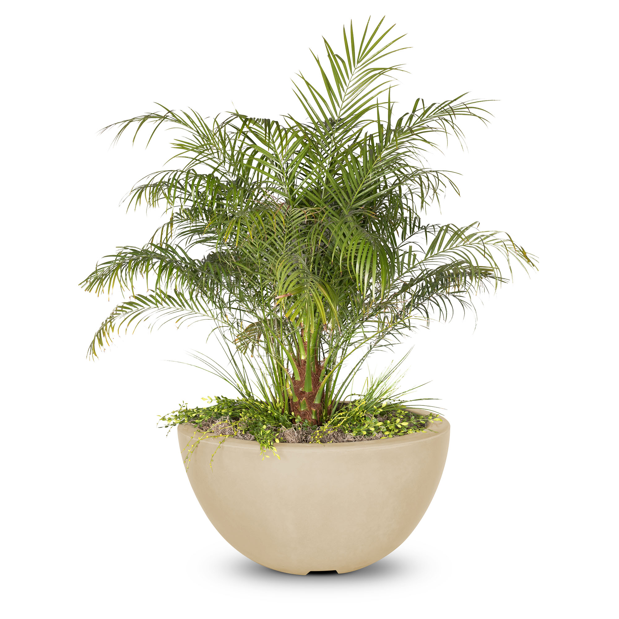 LUNA CFCR PLANTER BOWL