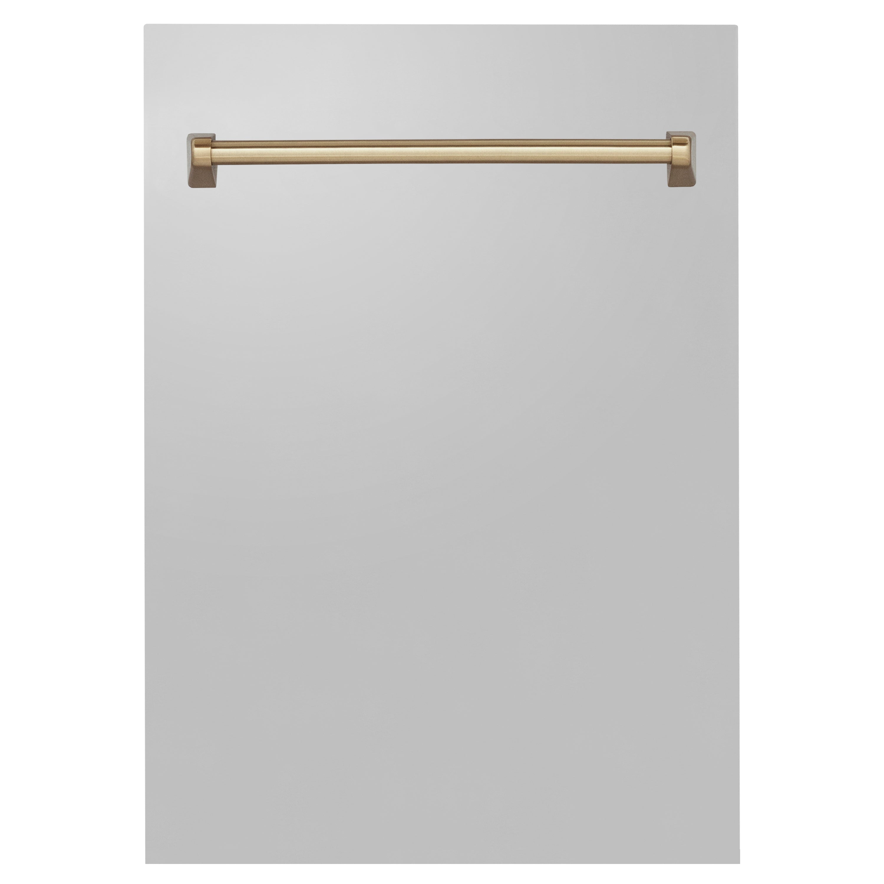 ZLINE 18 in. Autograph Edition Tallac Dishwasher Panel in Stainless Steel with Accent Handle (DPVZ-304-18)