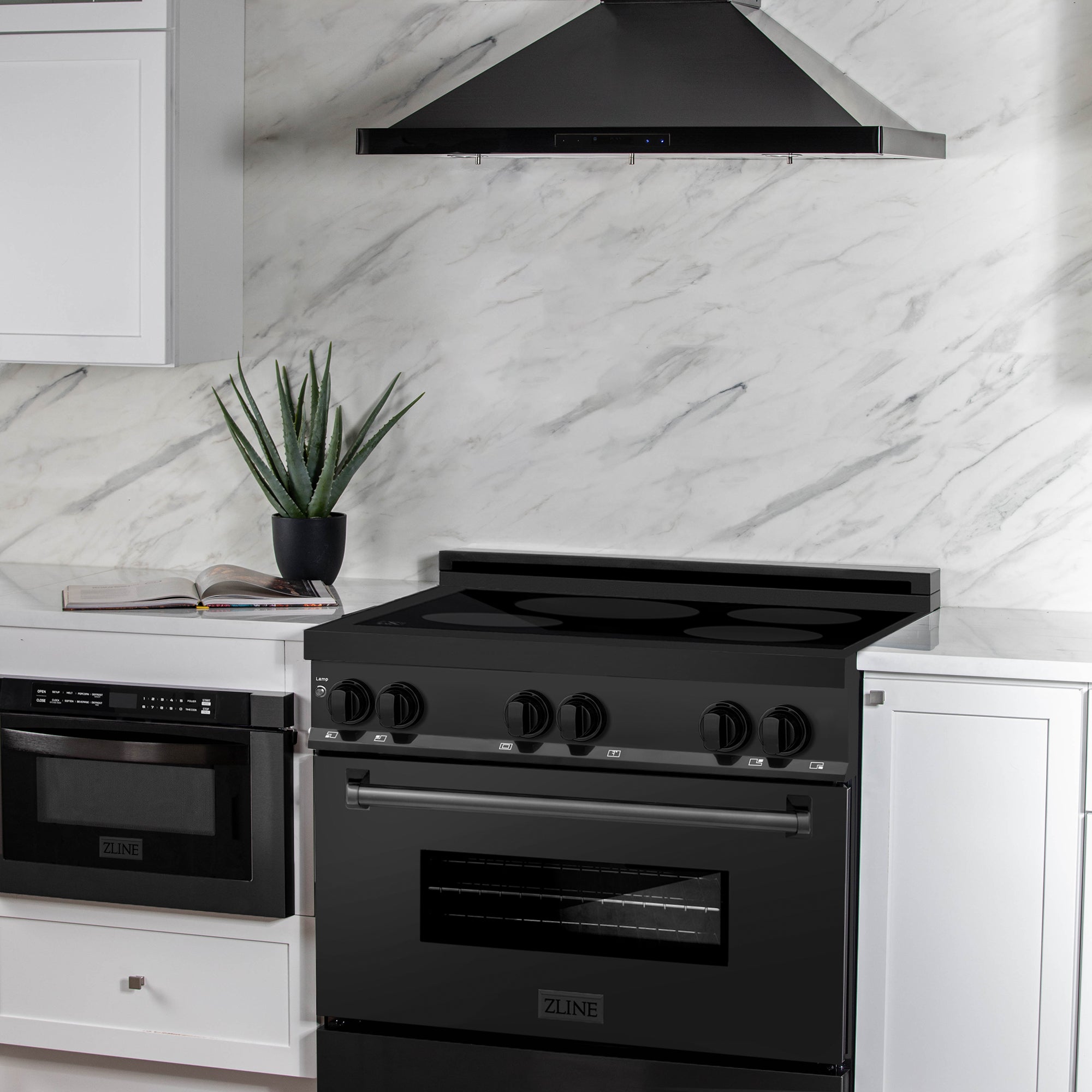 ZLINE Induction Range with a 4 Element Stove and Electric Oven in Black Stainless Steel (RAIND-BS)